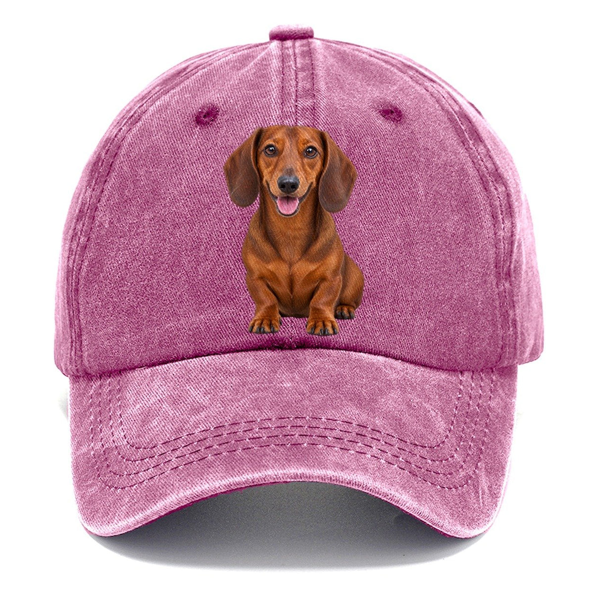 Dachshund Sitting Top Breeds Classic Cap – Dusty Rose