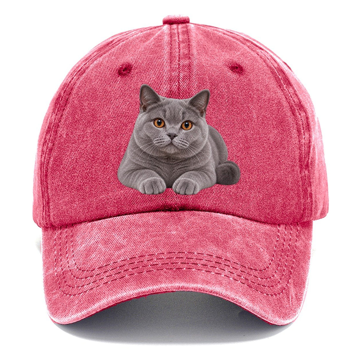 British Shorthair Reclining Paws Forward Realistic Cat Portrait Classic Cap – Pomegranate Blush