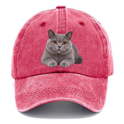 British Shorthair Reclining Paws Forward Realistic Cat Portrait Classic Cap – Pomegranate Blush