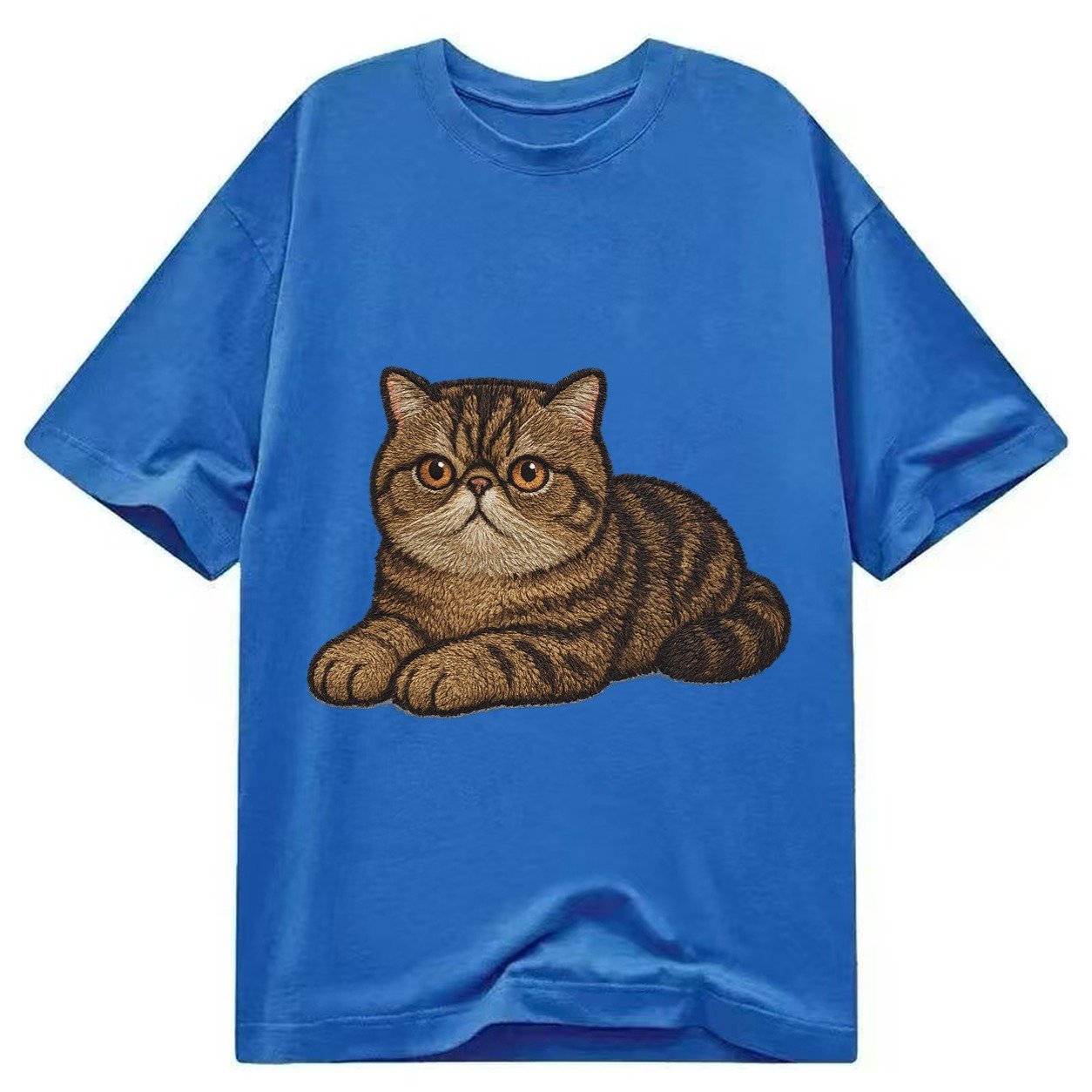 Exotic Shorthair Flat Face Plush Coat Relaxed Lying Down Wit Classic T-shirt – Blue
