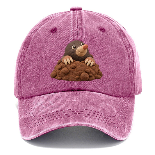 Mole Hill Peek Classic Cap – Dusty Rose
