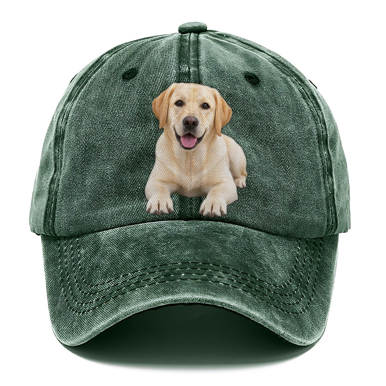 Labrador Retriever Lying Down Top Breeds Classic Cap – Forest Mist
