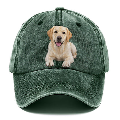 Labrador Retriever Lying Down Top Breeds Classic Cap – Forest Mist