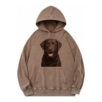 Labrador Friendly Family Vintage Washed Hoodie – Brown