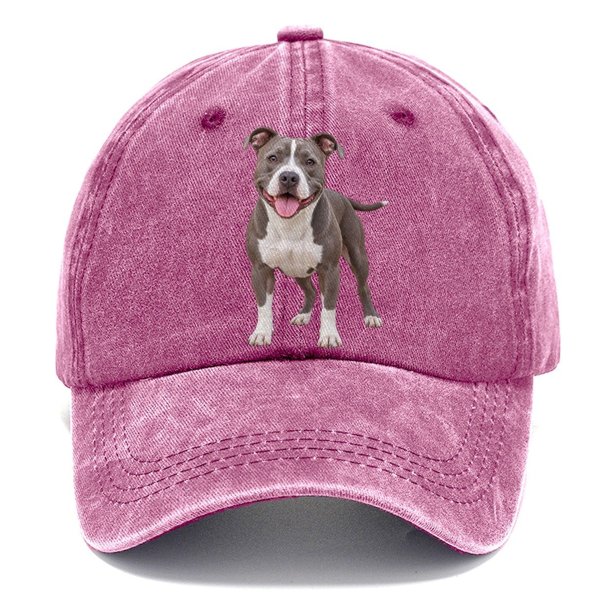 Pit Bull Terrier Standing Top Breeds Classic Cap – Dusty Rose