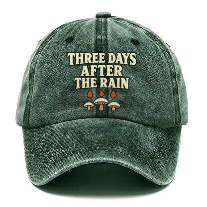 Three Days After The Rain Foraging And Mycology Classic Cap – Forest Mist