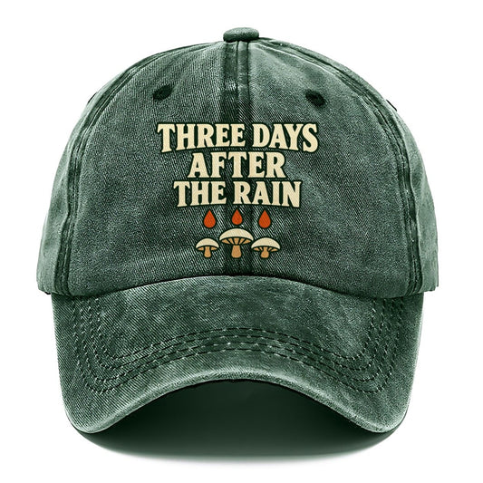 Three Days After The Rain Foraging And Mycology Classic Cap – Forest Mist