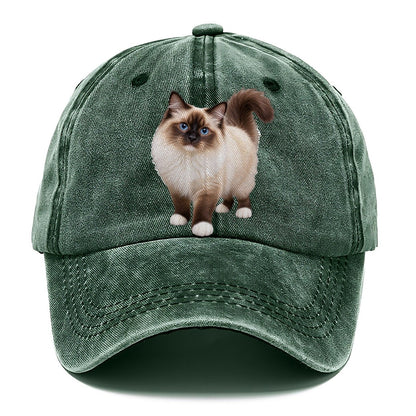 Birman Standing Three Quarter Realistic Cat Portrait Classic Cap – Forest Mist