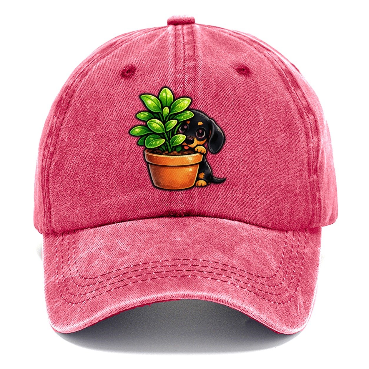 Introvert Dachshund Observing Quietly Classic Cap – Pomegranate Blush