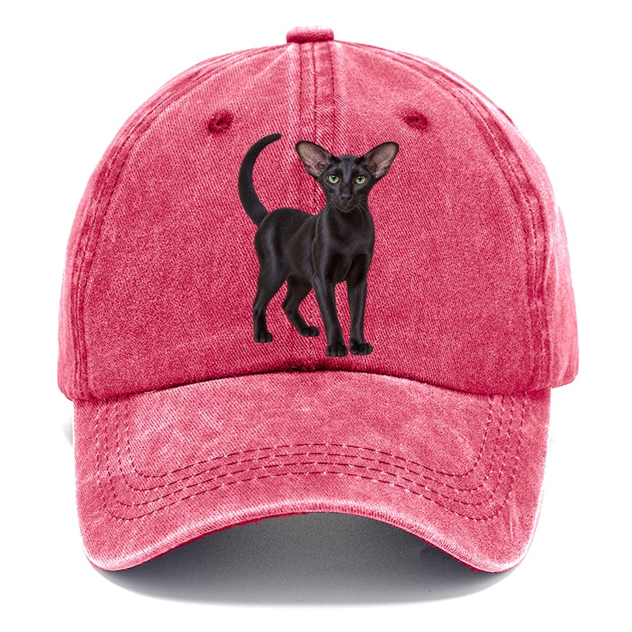 Oriental Shorthair Standing Three Quarter Realistic Cat Portrait Classic Cap – Pomegranate Blush
