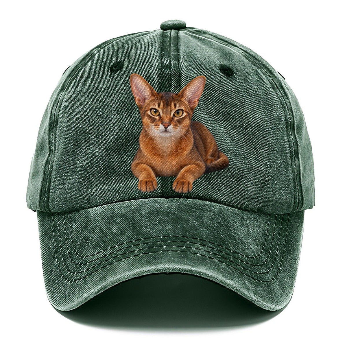 Abyssinian Reclining Paws Forward Realistic Cat Portrait Classic Cap – Forest Mist