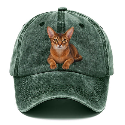 Abyssinian Reclining Paws Forward Realistic Cat Portrait Classic Cap – Forest Mist