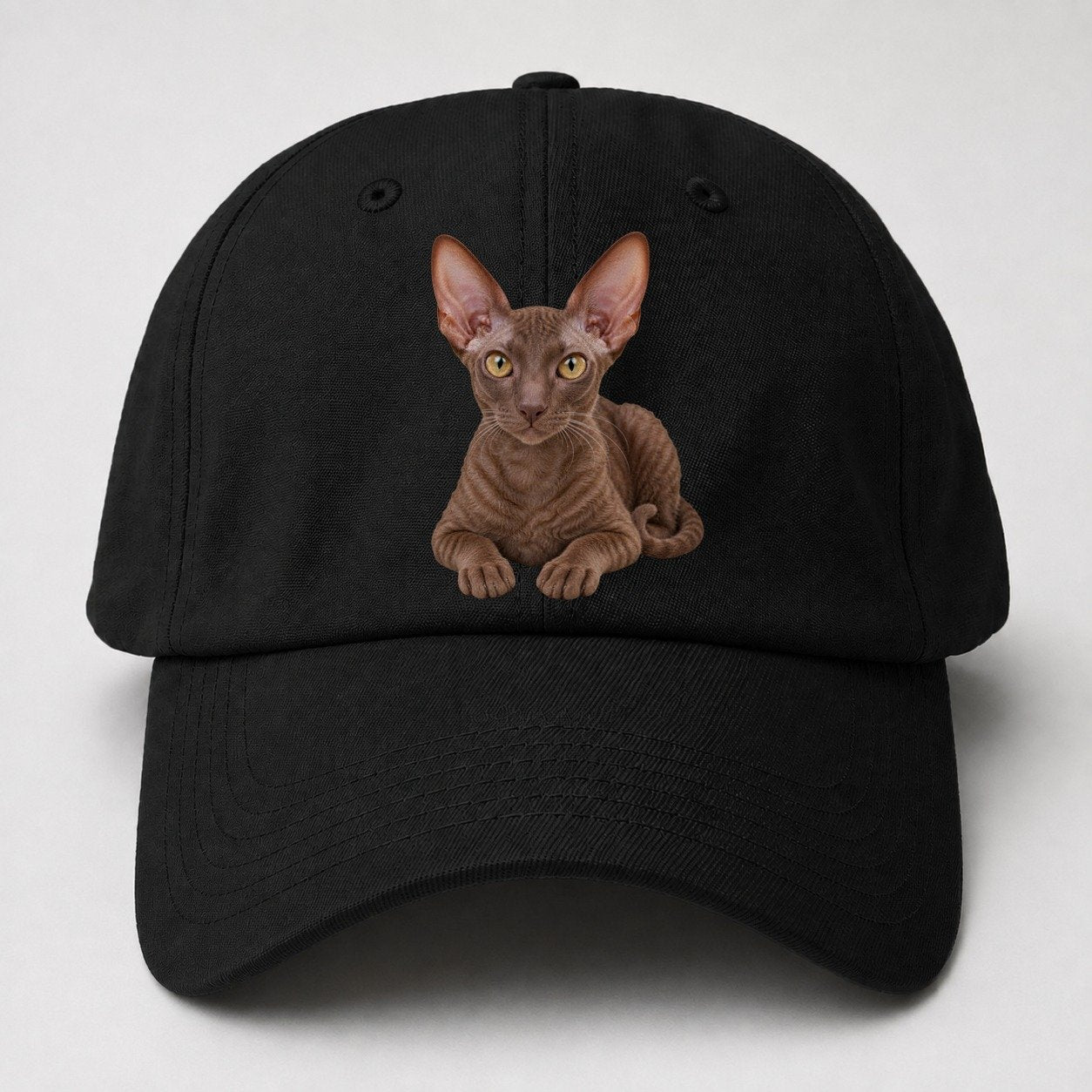 Cornish Rex Reclining Paws Forward Realistic Cat Portrait Baseball Cap – Black