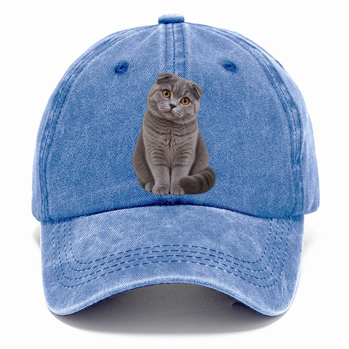 Scottish Fold Seated Portrait Realistic Cat Portrait Classic Cap – Summer Sky