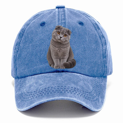 Scottish Fold Seated Portrait Realistic Cat Portrait Classic Cap – Summer Sky