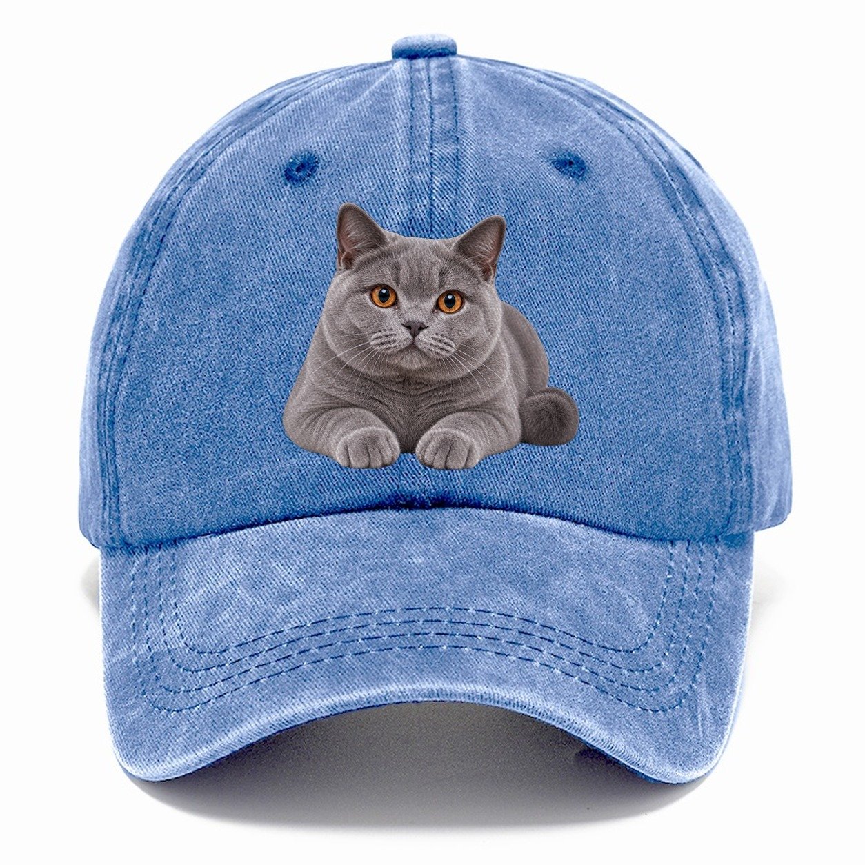 British Shorthair Reclining Paws Forward Realistic Cat Portrait Classic Cap – Summer Sky