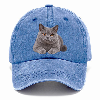 British Shorthair Reclining Paws Forward Realistic Cat Portrait Classic Cap – Summer Sky