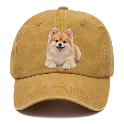 Pomeranian Lying Down Top Breeds Classic Cap – Golden Harvest