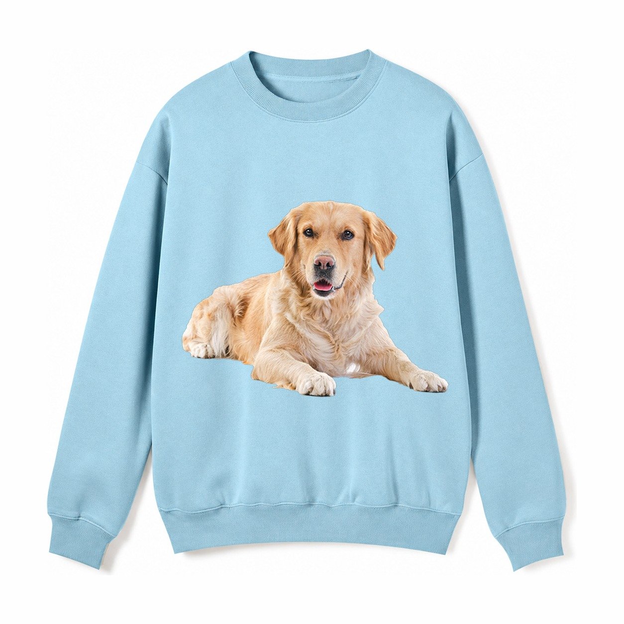 Golden Retriever Laying Dow Fleece Sweatshirt – Light Blue