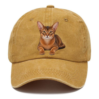 Abyssinian Reclining Paws Forward Realistic Cat Portrait Classic Cap – Golden Harvest
