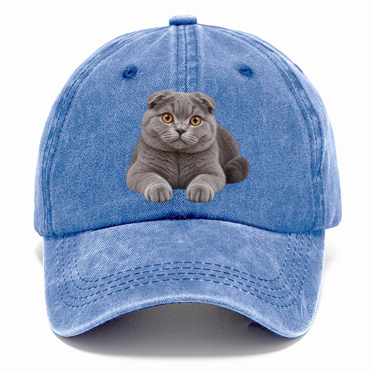 Scottish Fold Reclining Paws Forward Realistic Cat Portrait Classic Cap – Summer Sky