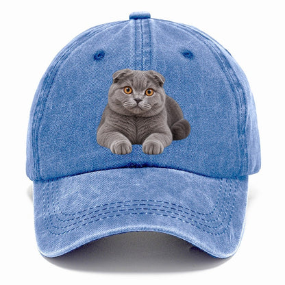 Scottish Fold Reclining Paws Forward Realistic Cat Portrait Classic Cap – Summer Sky