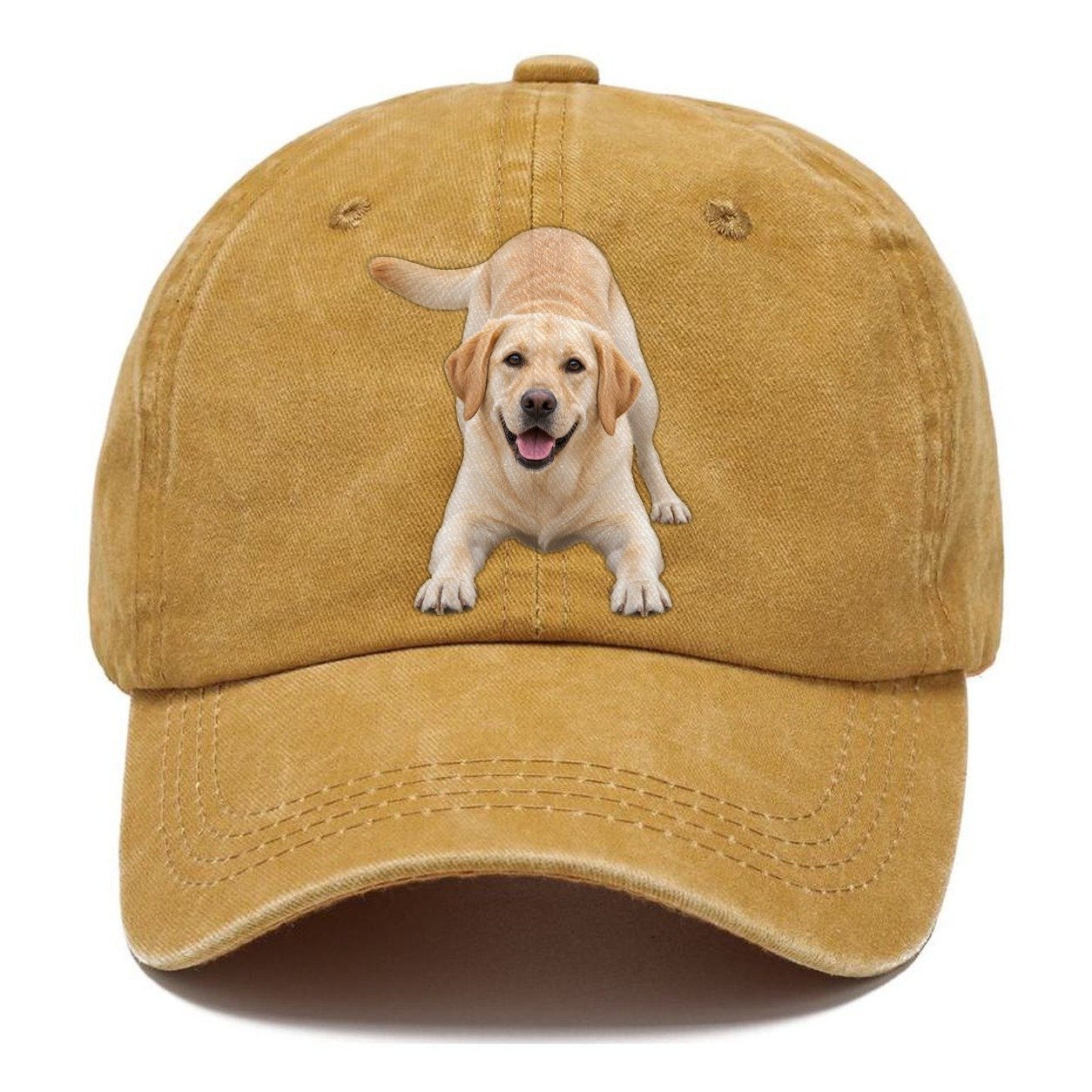 Labrador Retriever Play Bow Top Breeds Classic Cap – Golden Harvest