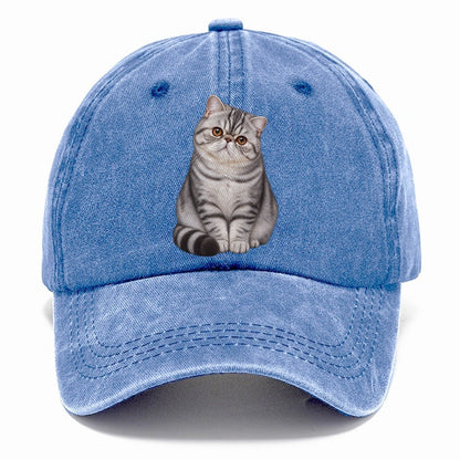 Exotic Shorthair Seated Portrait Realistic Cat Portrait Classic Cap – Summer Sky