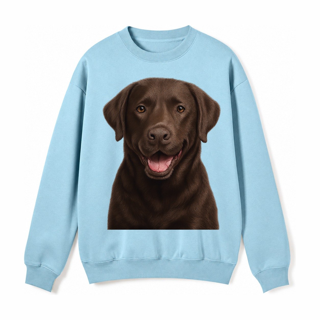 Labrador Friendly Family Fleece Sweatshirt – Light Blue
