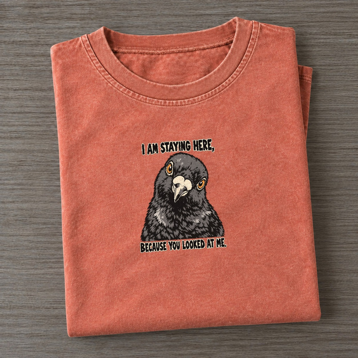 I Am Staying Here Feral Logic Vintage T-shirt – Terracotta
