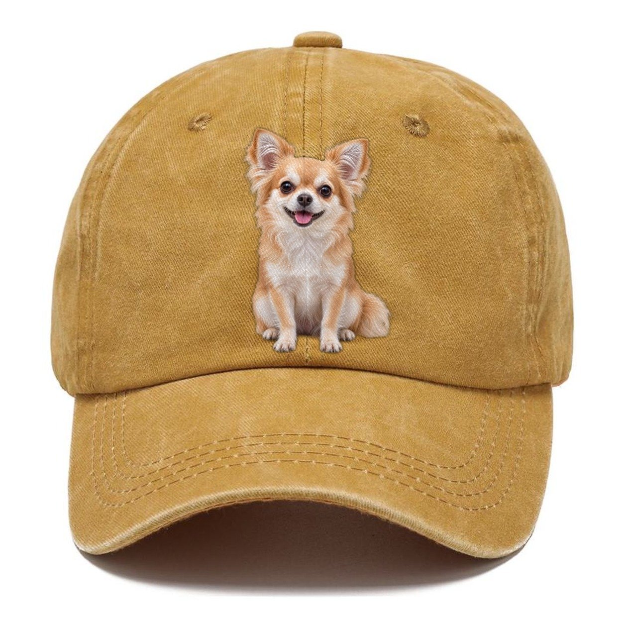 Chihuahua Sitting Top Breeds Classic Cap – Golden Harvest