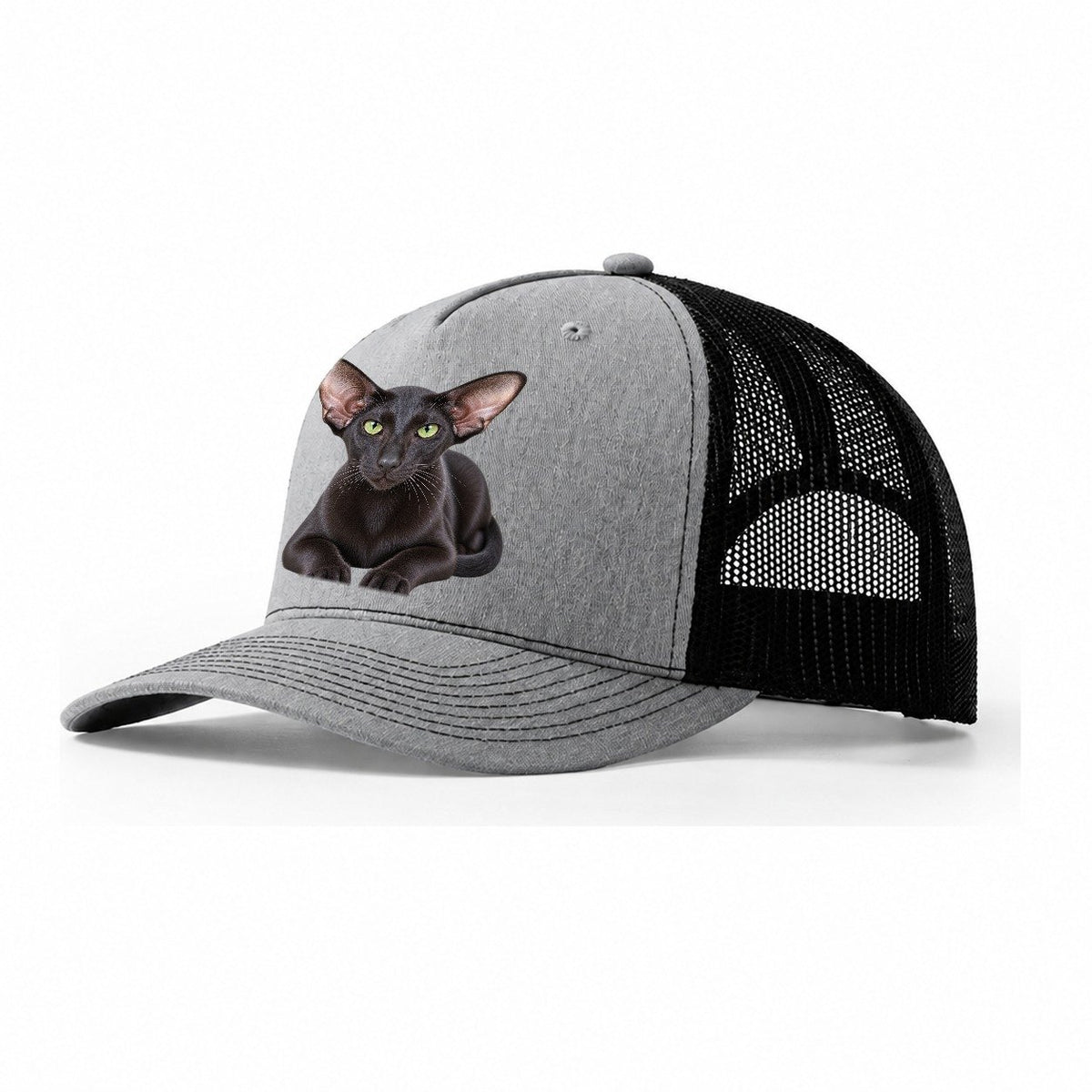 Oriental Shorthair Reclining Paws Forward Realistic Cat Portrait Trucker Hat – Sport Grey Black