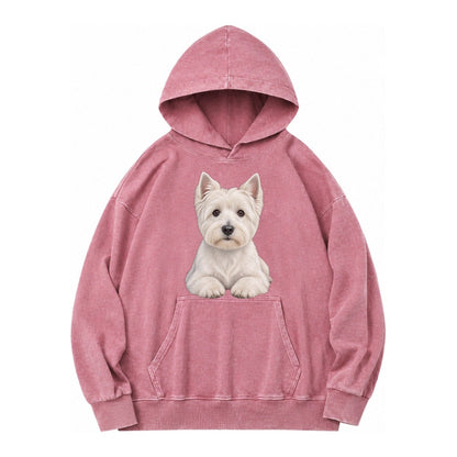 Pickleball Vintage Washed Hoodie – Dusty Rose