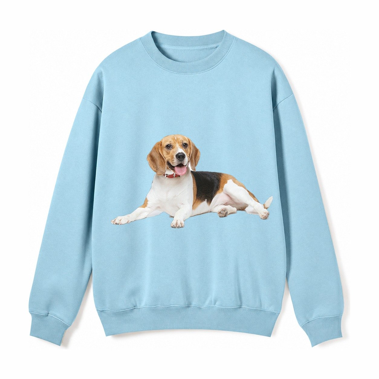 Beagle Fleece Sweatshirt – Light Blue