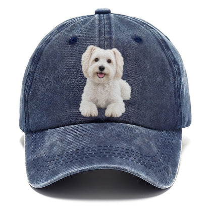Havanese Sitting Top Breeds Classic Cap – Twilight Navy