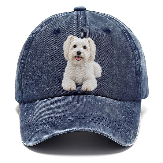 Havanese Sitting Top Breeds Classic Cap – Twilight Navy