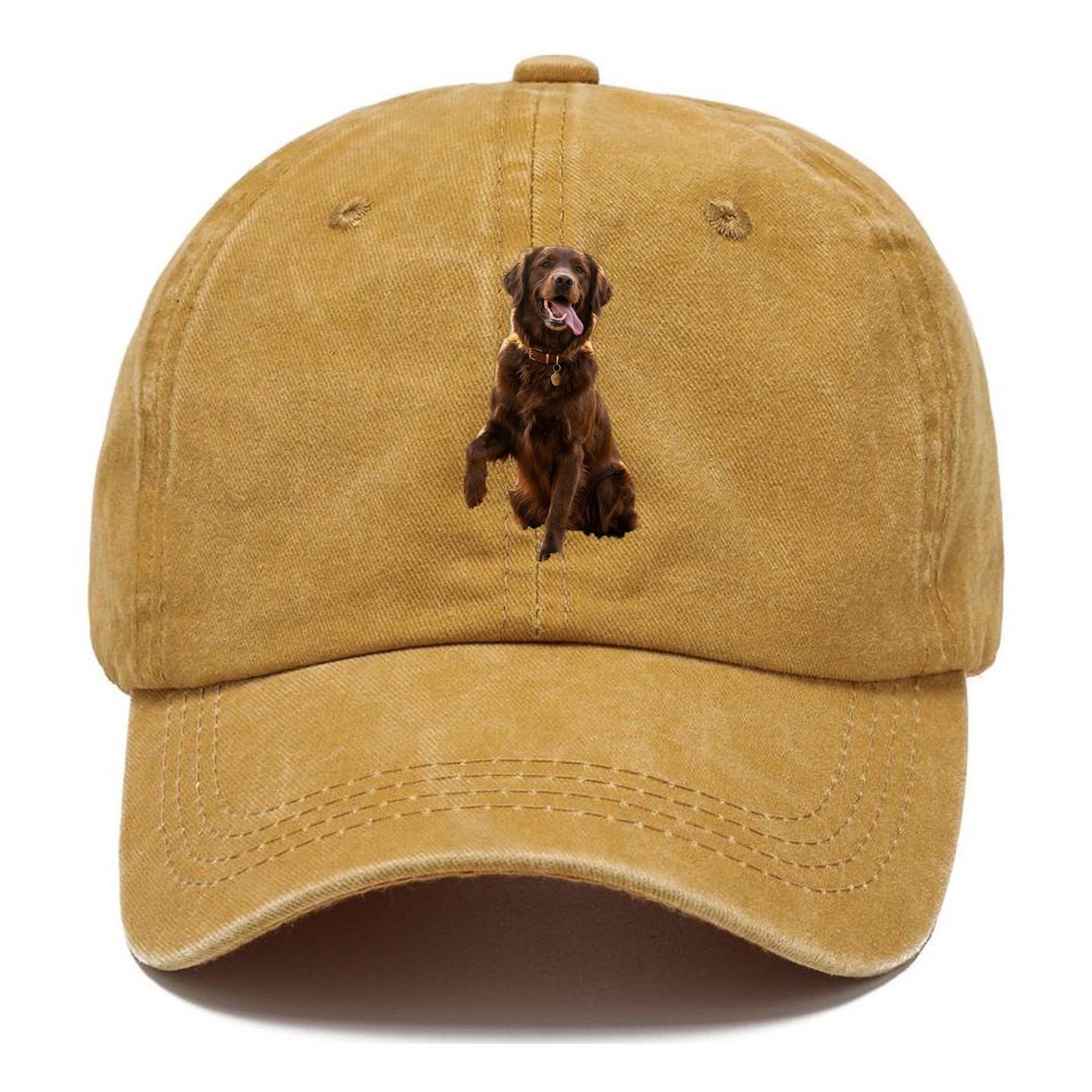Dark Retriever Classic Cap – Golden Harvest
