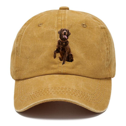 Dark Retriever Classic Cap – Golden Harvest