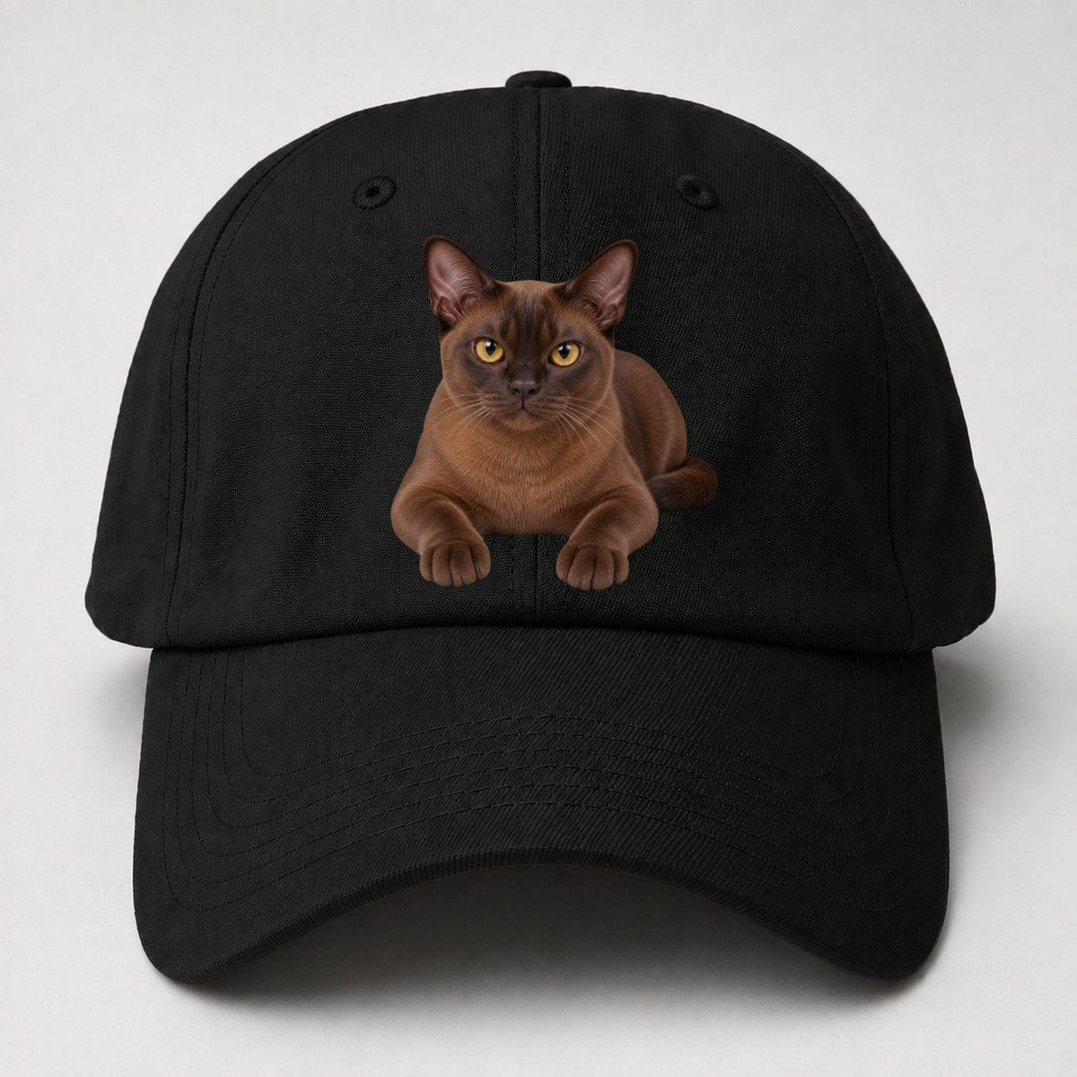 Burmese Reclining Paws Forward Realistic Cat Portrait Baseball Cap – Black