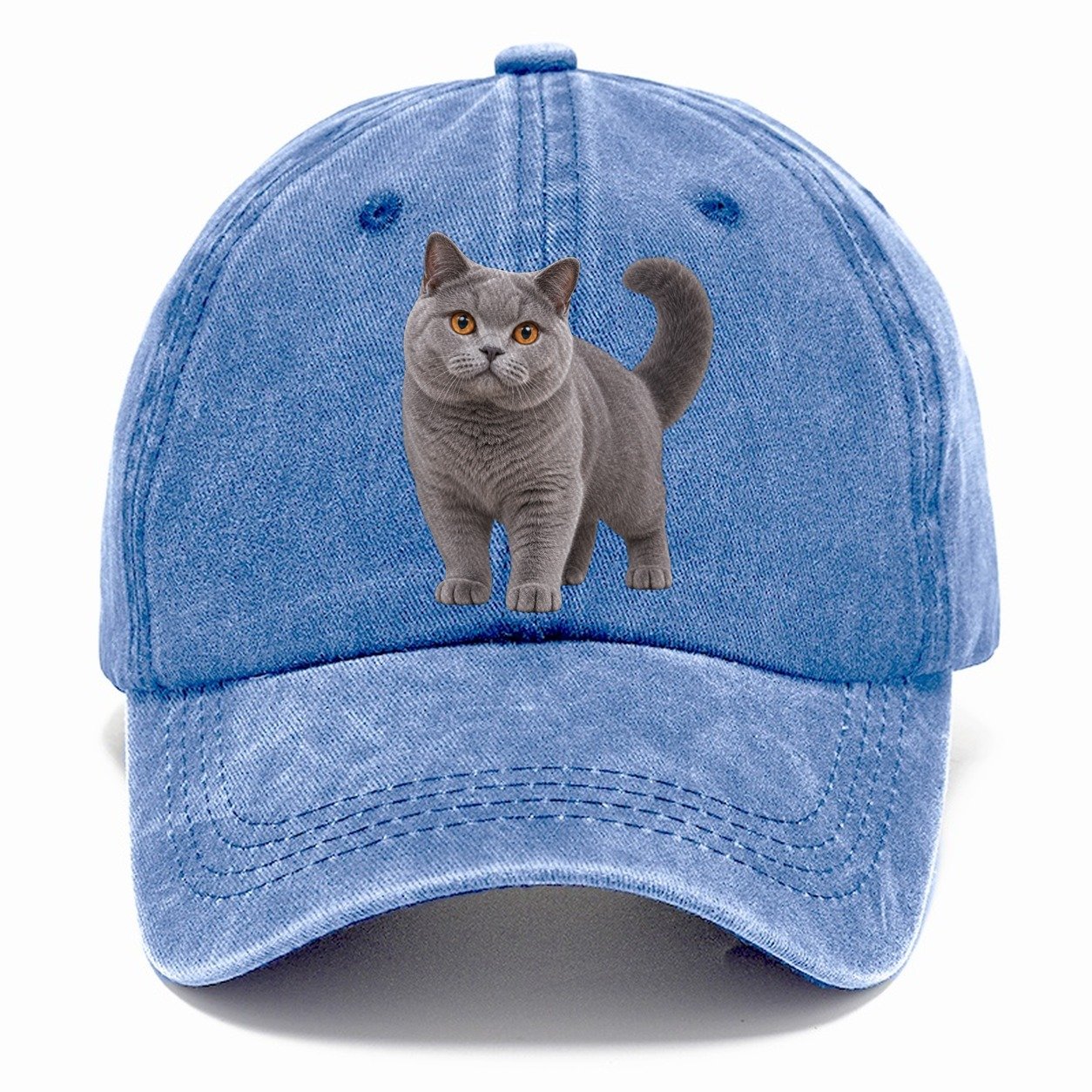British Shorthair Standing Three Quarter Realistic Cat Portrait Classic Cap – Summer Sky