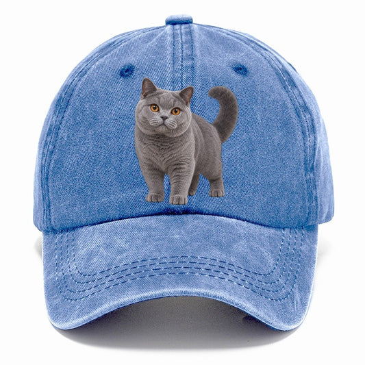 British Shorthair Standing Three Quarter Realistic Cat Portrait Classic Cap – Summer Sky