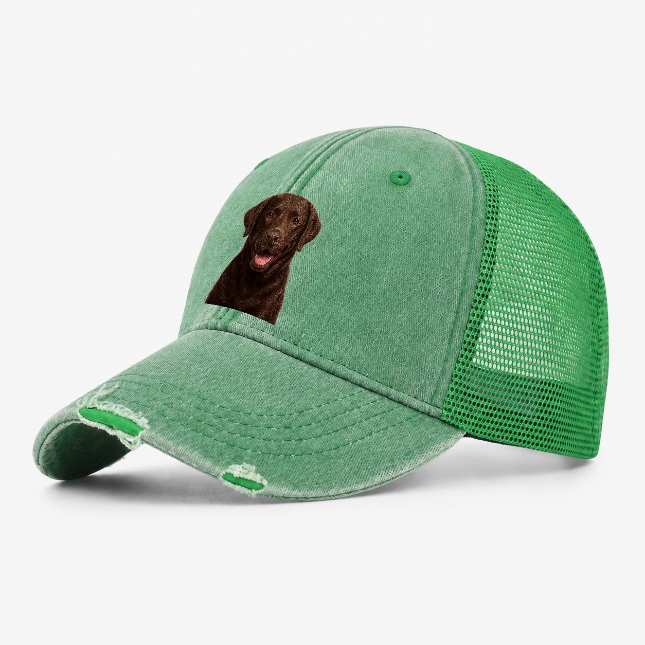 Labrador Friendly Family Washed Trucker Hat – Ink Green