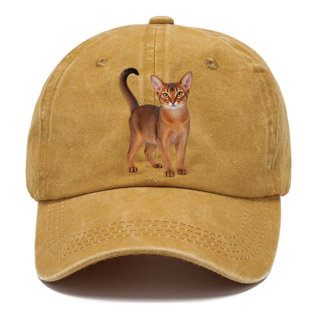 Abyssinian Standing Three Quarter Realistic Cat Portrait Classic Cap – Golden Harvest