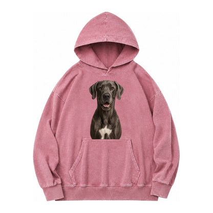 Great Dane Gentle Giant Noble Heart Vintage Washed Hoodie – Dusty Rose