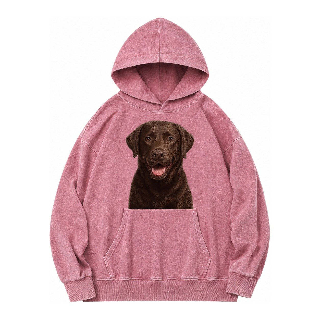 Labrador Friendly Family Vintage Washed Hoodie – Dusty Rose