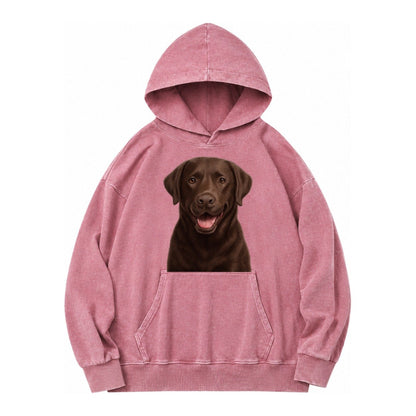 Labrador Friendly Family Vintage Washed Hoodie – Dusty Rose