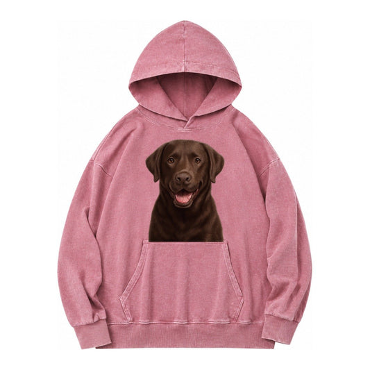 Labrador Friendly Family Vintage Washed Hoodie – Dusty Rose