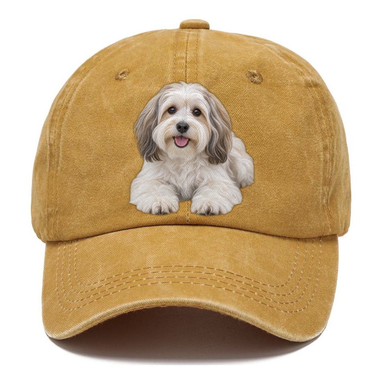 Havanese Lying Down Top Breeds Classic Cap – Golden Harvest