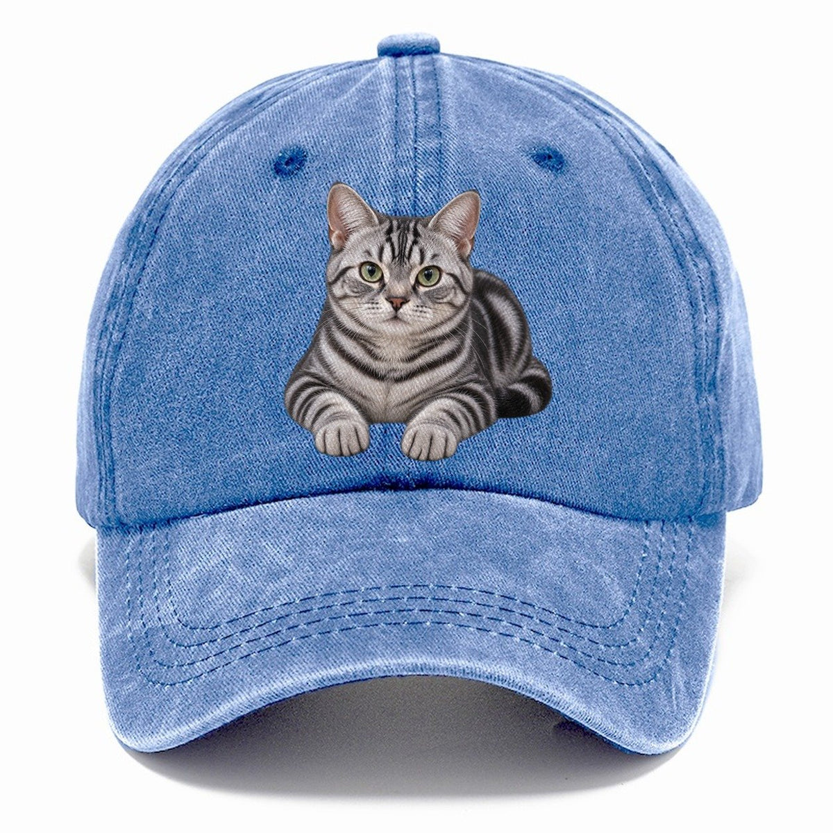 American Shorthair Reclining Paws Forward Realistic Cat Portrait Classic Cap – Summer Sky
