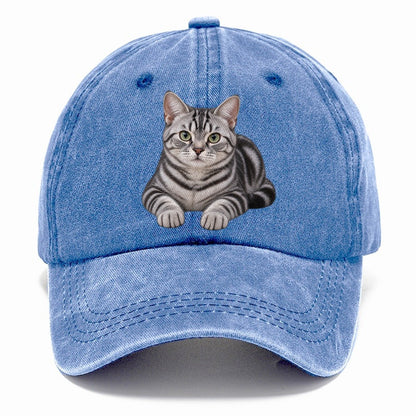 American Shorthair Reclining Paws Forward Realistic Cat Portrait Classic Cap – Summer Sky